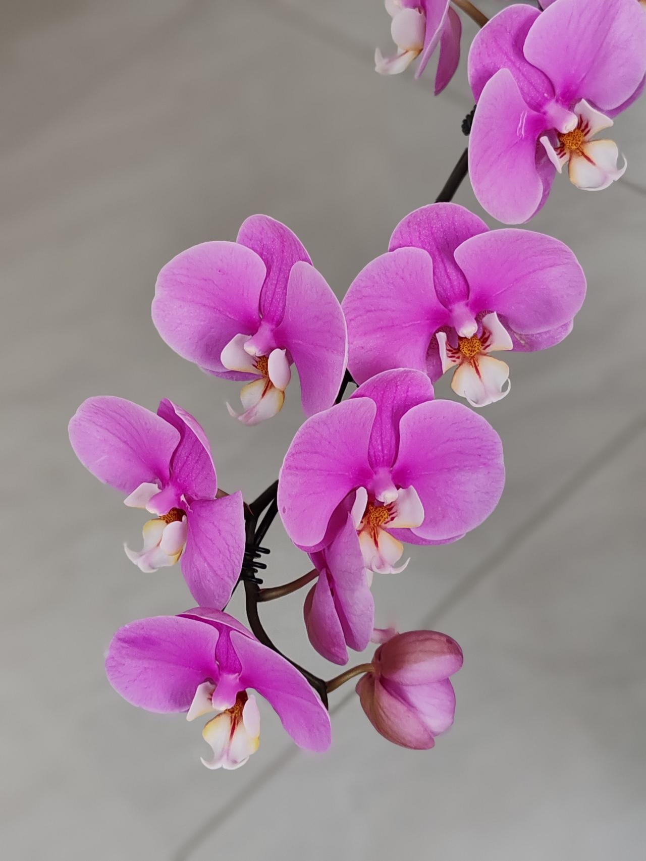 如果你的钱一时用不上，存在哪家银行都是存。安全系数相同，利率水平也一样，一家银行