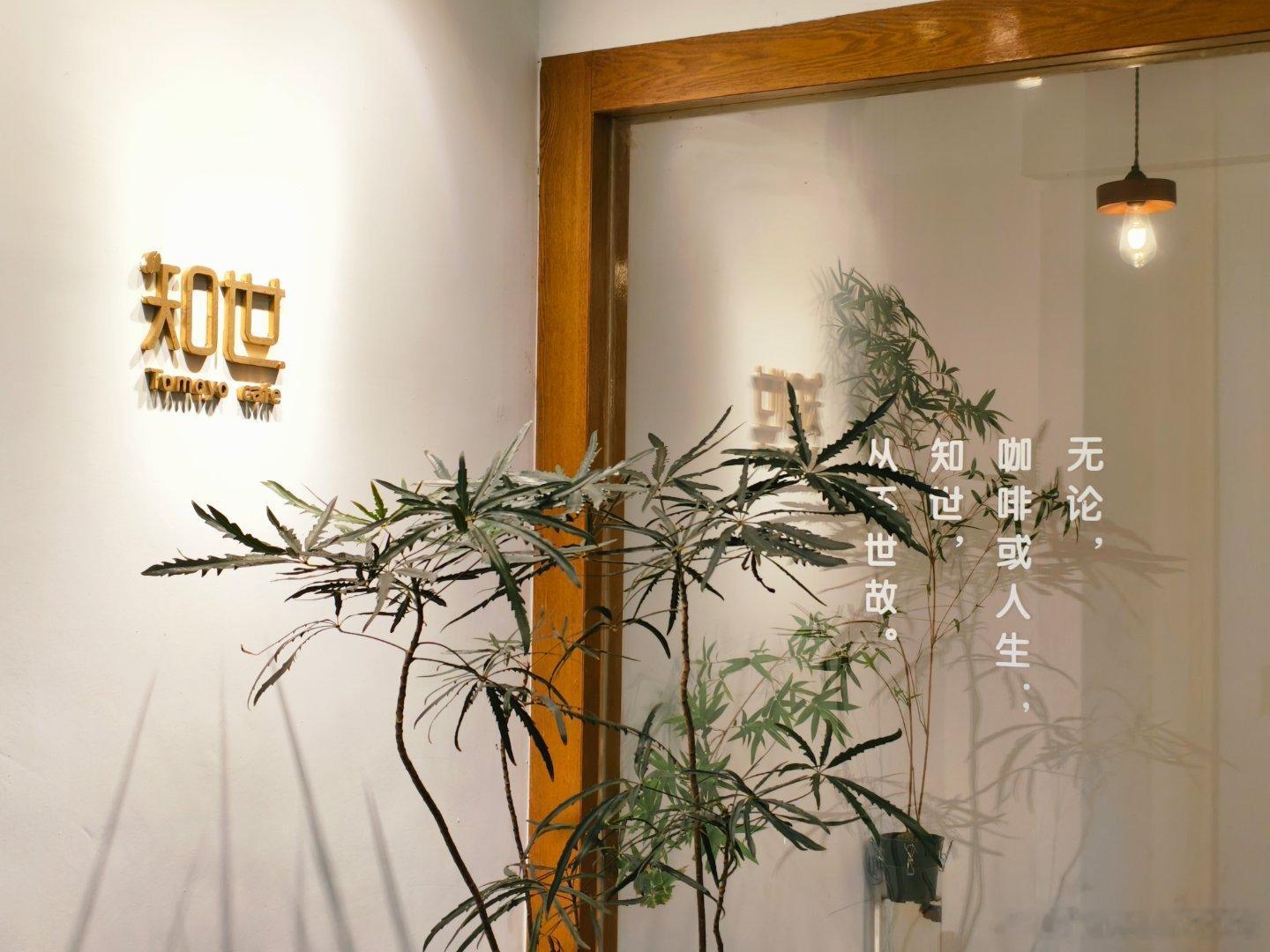 美食中山雨中知世，青柠一梦中山东部组团最好吃的芝士蛋糕✔中山·知