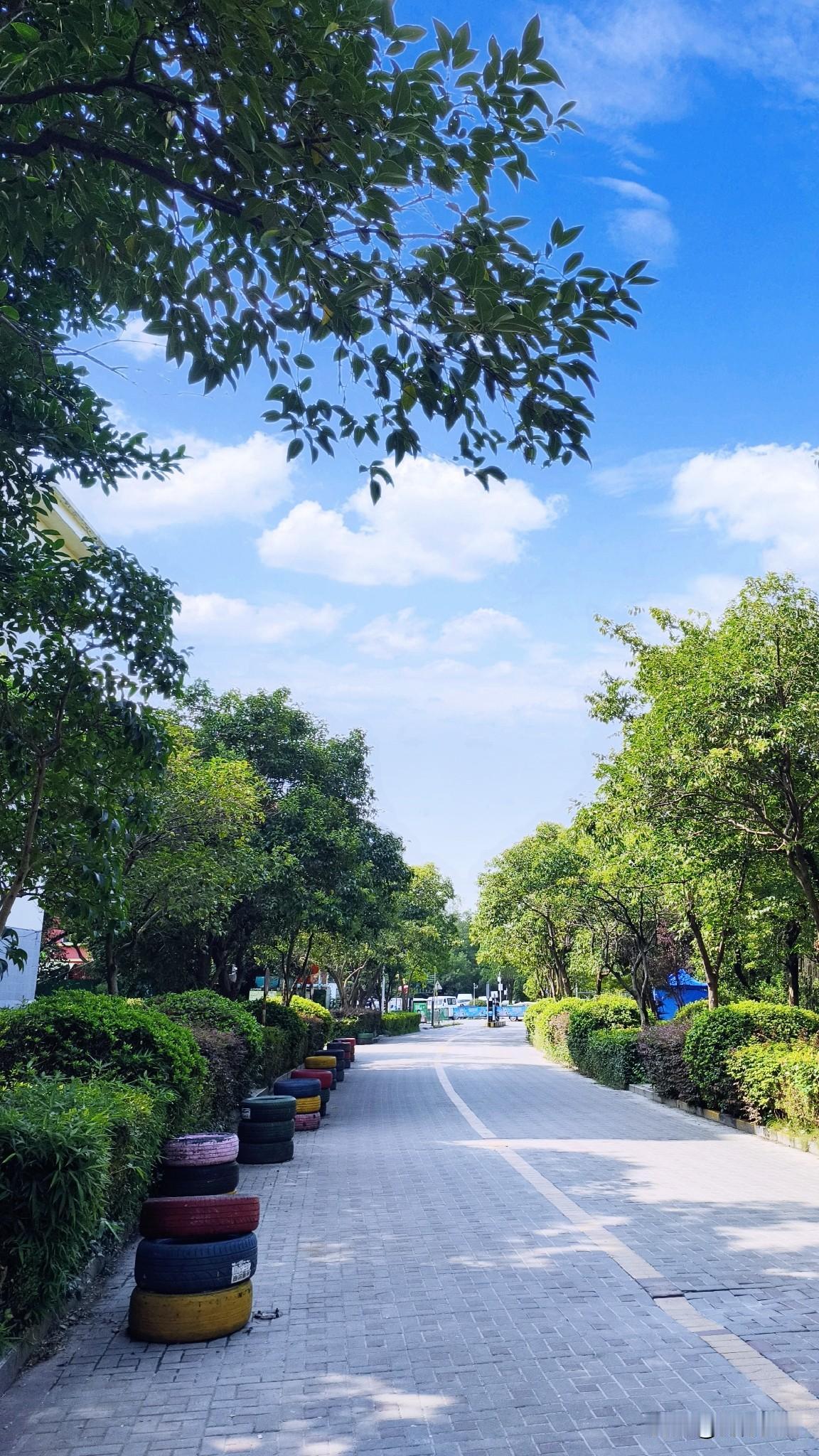 南京今天最高温度34度，今年夏天还真不太热，和往年比像“清凉大反转”。不过别高兴