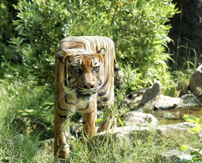 分享一组动作搞笑照片。将其外形转化为了方块形状，造型可爱，仿佛置身于《我的世界》