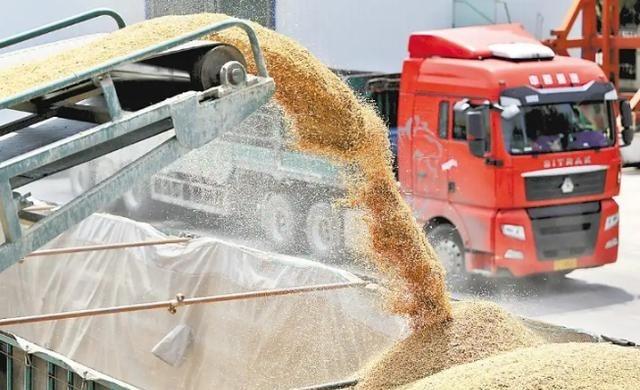 如果全球都停止出口粮食，中国能否自给自足？不夸张地说，中国或许无法做到自给自足，