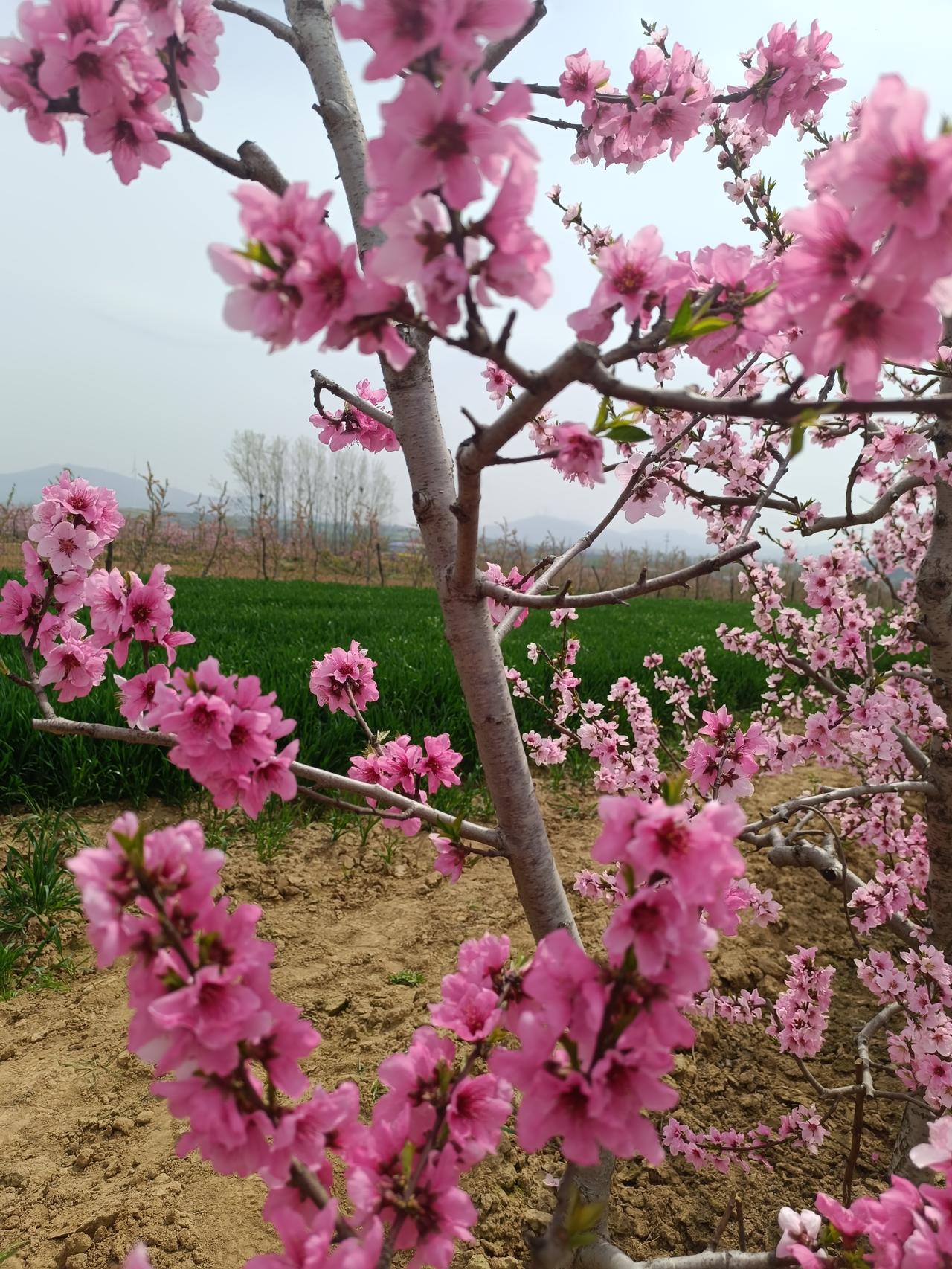 当你老了，为了不被子女嫌弃，做到以下几点：一、自己一定要有房子，不要和子女住