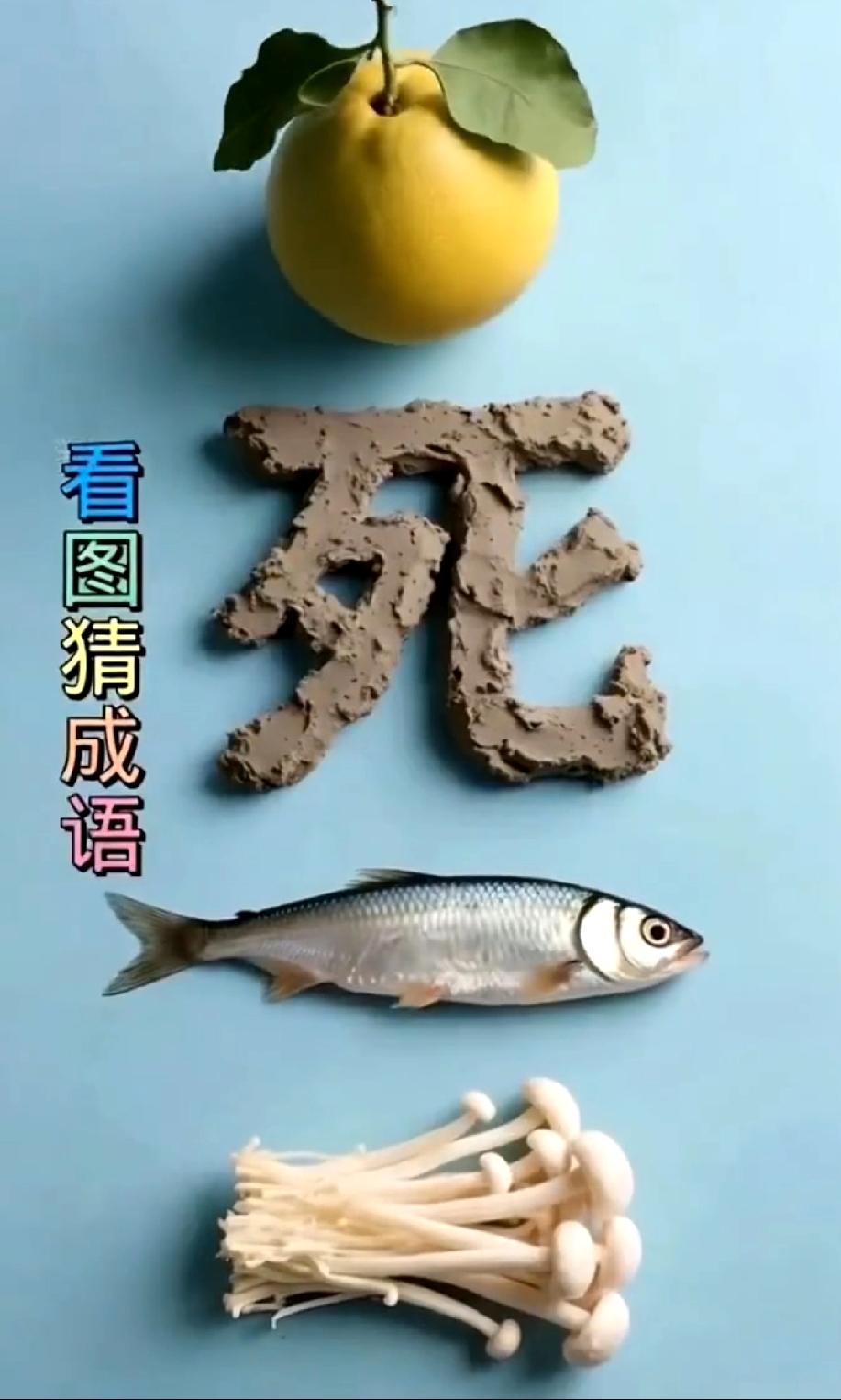 脑洞大开！柚子、死字、鱼、金针菇凑一起，是什么成语？