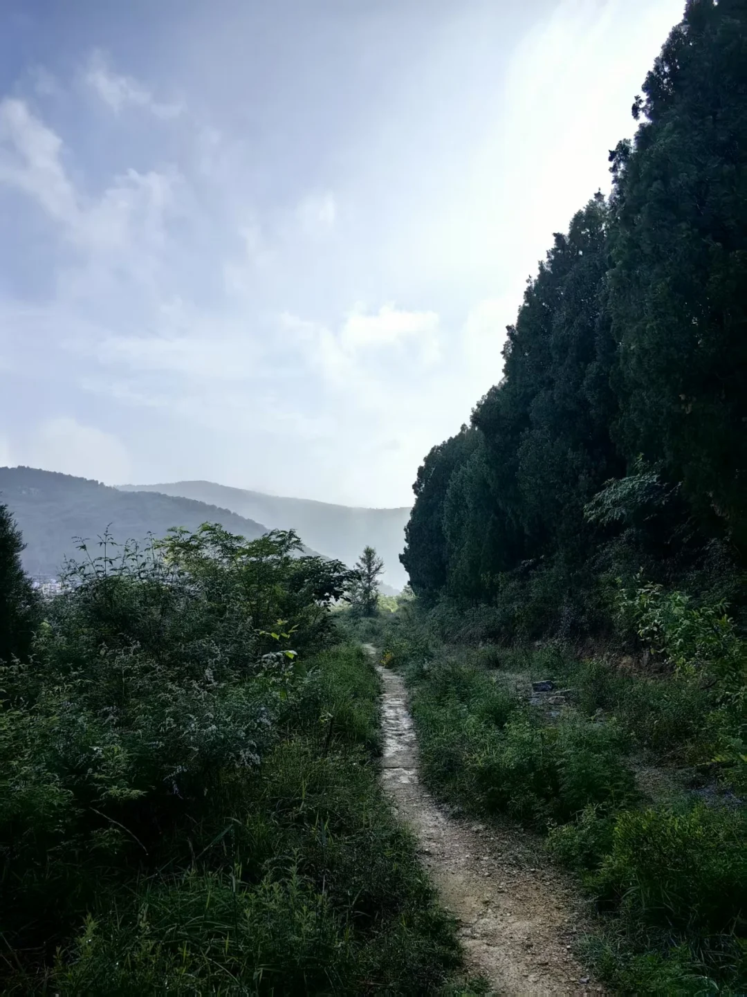 讲个故事