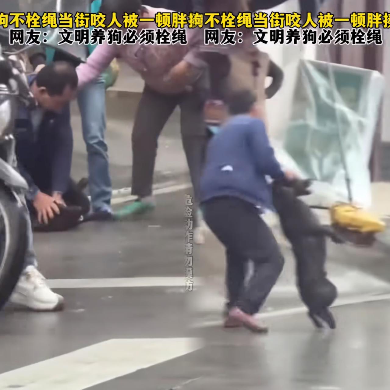 大姐急得快崩溃，差点就给被狗咬的男子跪下了！咋回事呢？原来大姐出门遛狗忘拴绳，狗