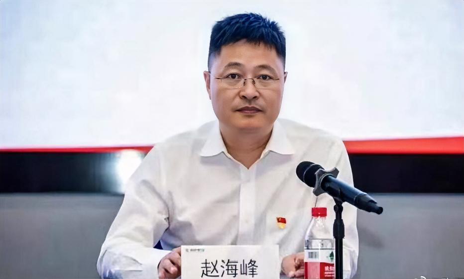 如果世上有后悔药，最先抢着吃的肯定是赵海峰他千不该万不该，不该在庆功会上，对