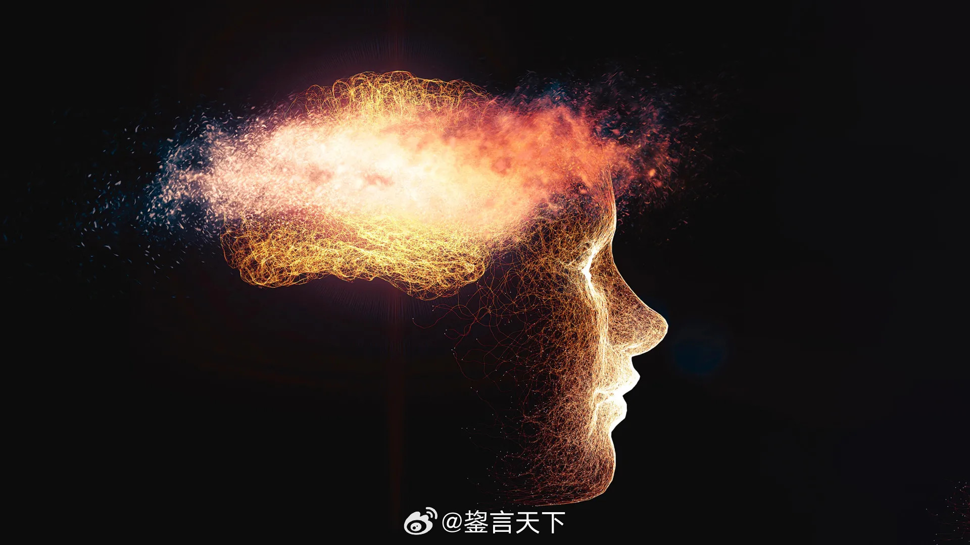 ScienceDaily发布的一项大规模脑部研究报道这项研究由国际多中心团队完