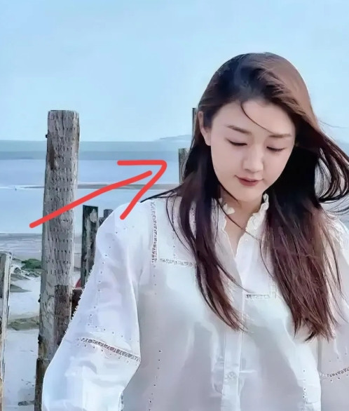 天啊，真是不查不知道一查吓一跳我算是知道陈梦为什么不打世乒赛了