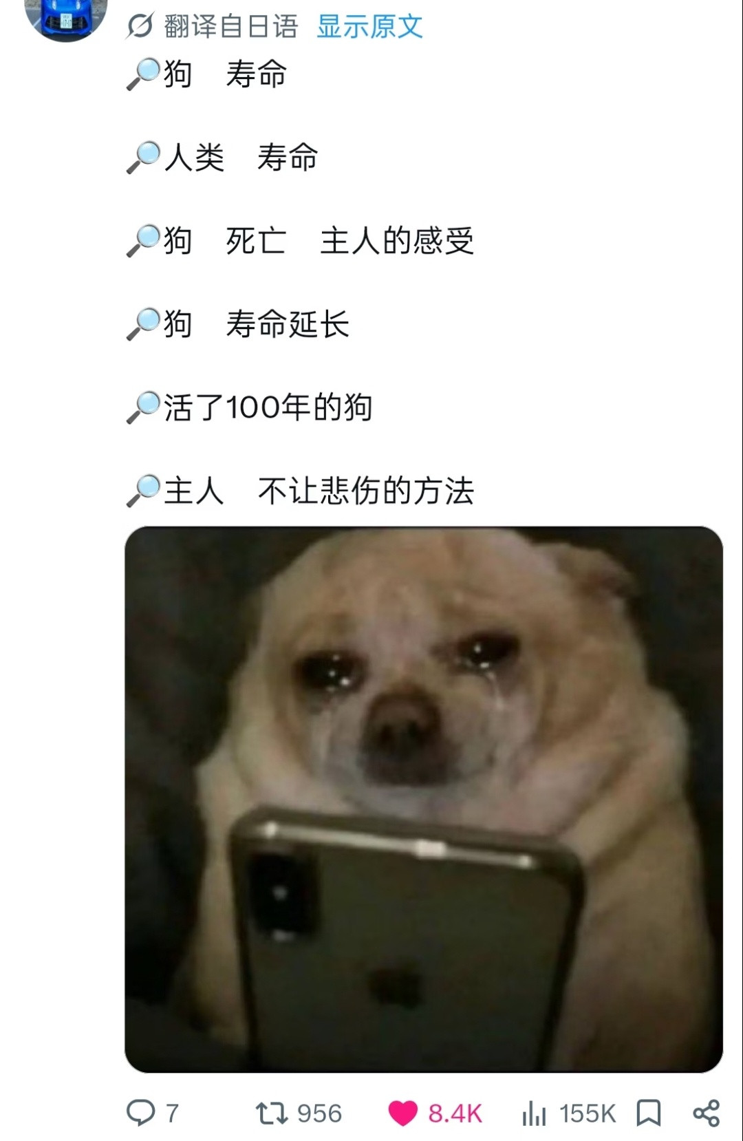 日推大流行|狗狗的搜索记录​​​