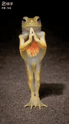 【AI生成】搞笑的青蛙舞！[捂脸哭]