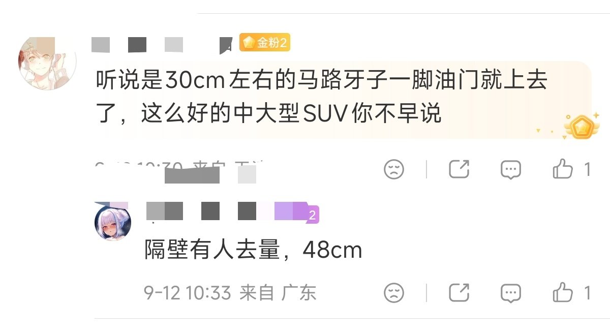 无论是30cm的马路牙子，还是48cm的马路牙子，能上去，车内人没事，车辆的轮胎、轮毂、底盘、电池都