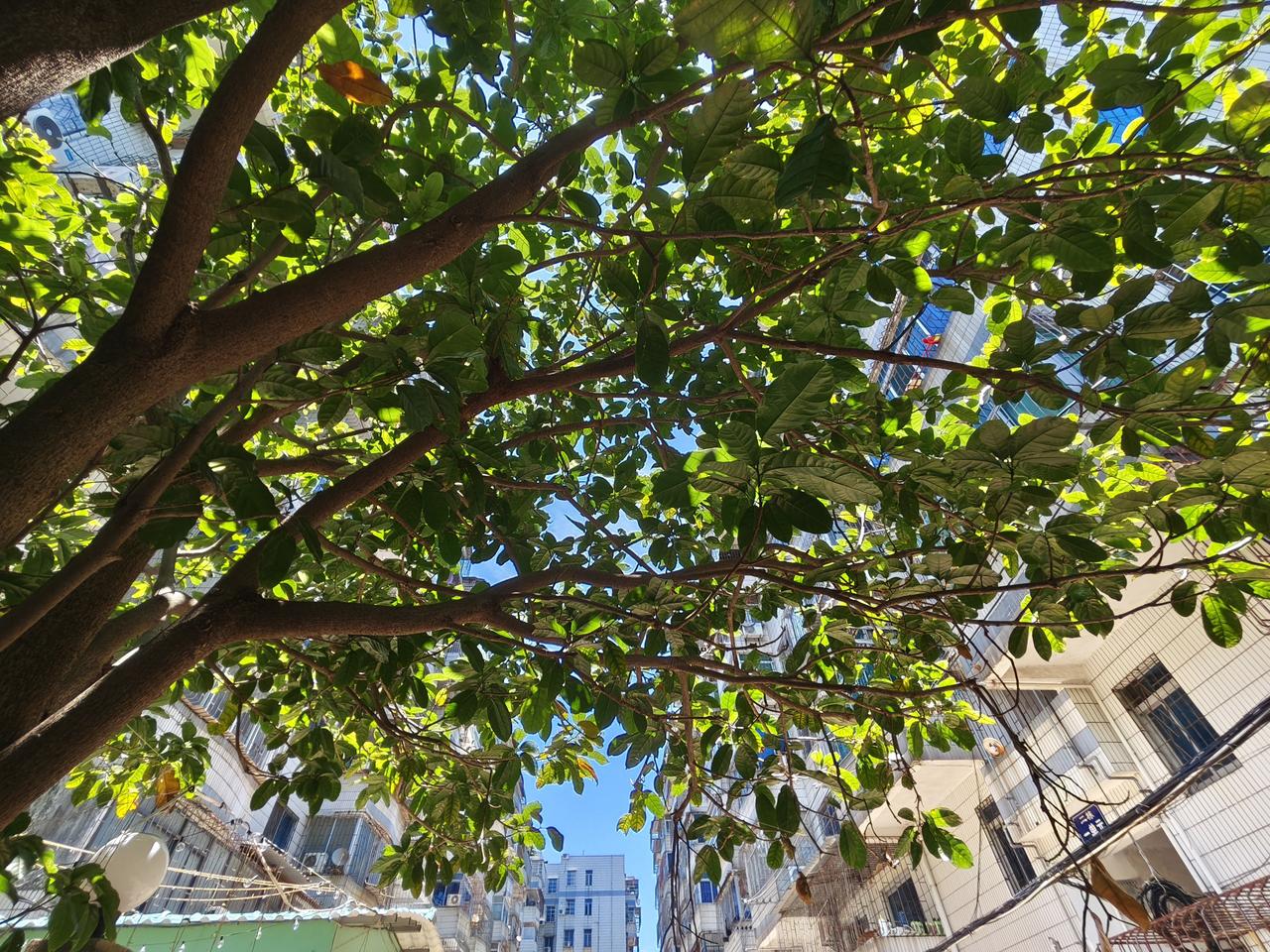 很戳心的一段话：​人生本是一场独行，繁华是过客，孤独是常态。向内修行，向外看淡，
