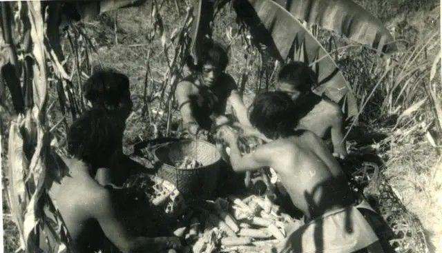 [点赞]1956年，部队在云南原始森林深处，发现一群衣不蔽体、蓬头垢面的男男女