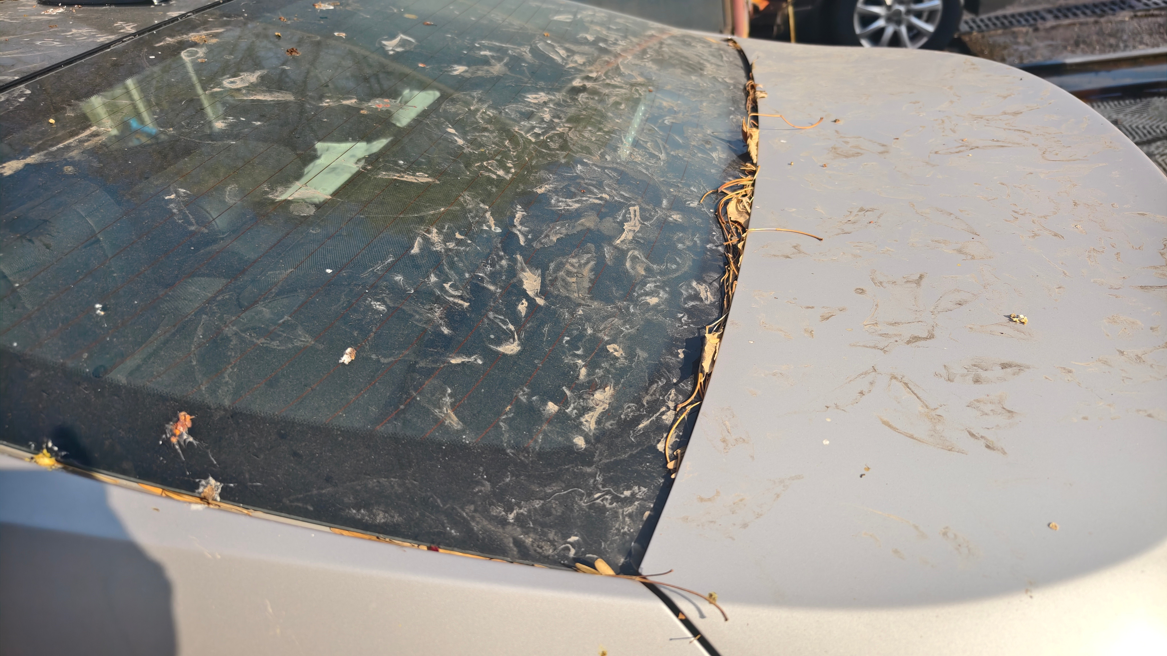 今天路过看了停在路边的车一眼，惨不忍睹，上次啥时候开的都忘了。