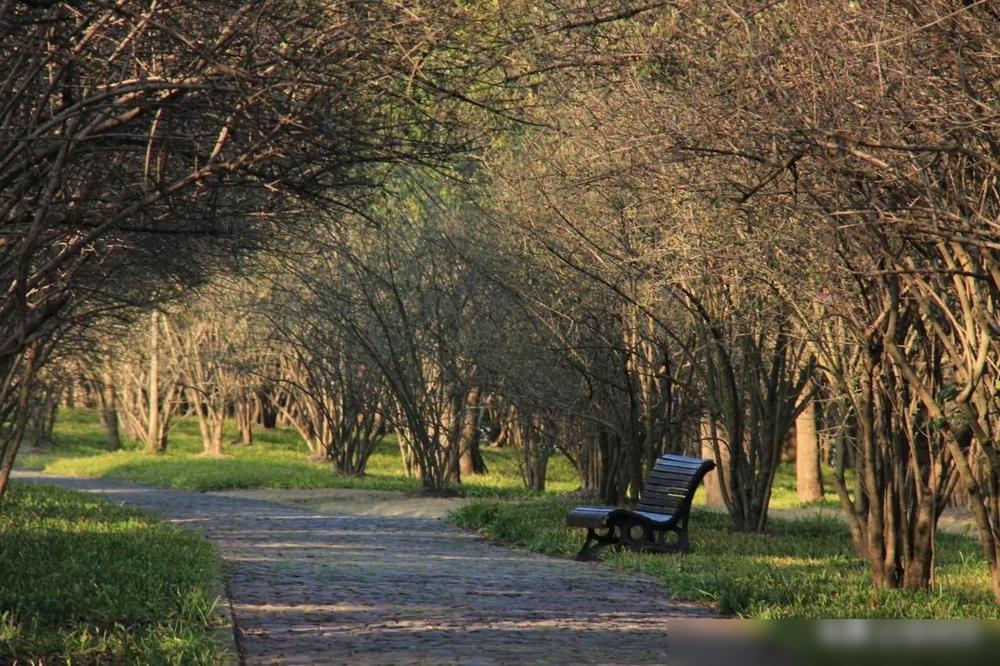 天呐我竟然在某群里发现了2021年来找我的一个青岛女生妈妈还在发帖，那时她女儿3