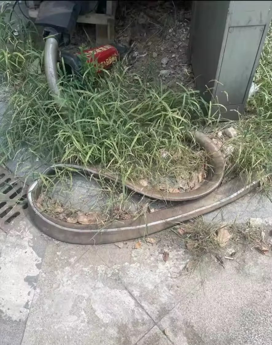 被这个咬了怎么办？挂什么科？野外徒步的时候，一转身吓了一跳，接着有一种劫后余生
