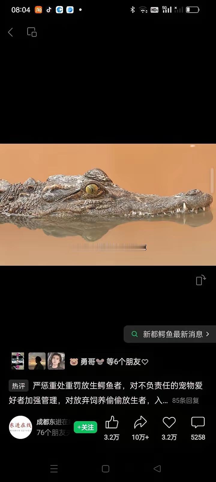 成都市通报鳄鱼进了毗河，为了沿岸人民群众生命安全，相关责任部门应严阵以待，三步一