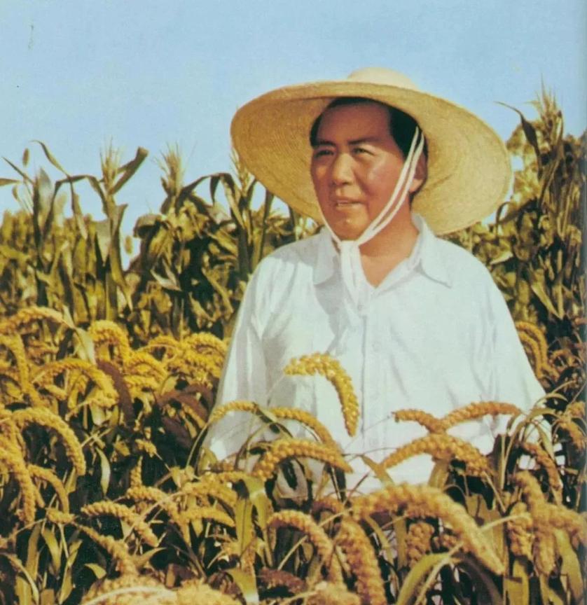 一些人对毛主席产生了太多的误解，把本来不是毛主席说的话当成毛主席说的，不是毛主席