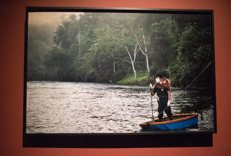 委内瑞拉这波操作太刚了！当地时间12月9日，委内瑞拉国民议会议长豪尔赫·罗德里格