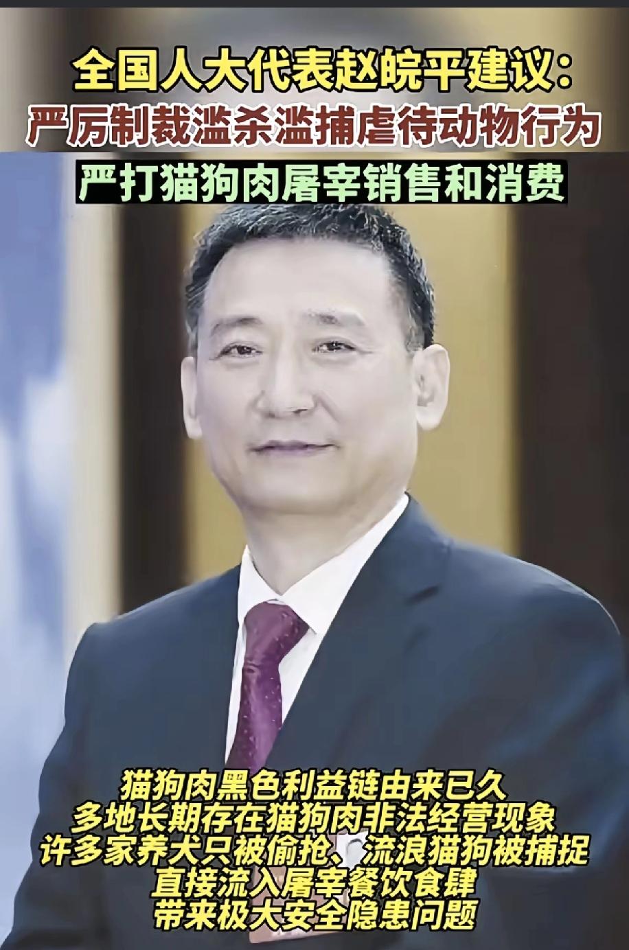 猪，牛，羊等动物被专家歧视了，专家说要严厉打击虐待动物行为，尤其要打击猫狗肉消费