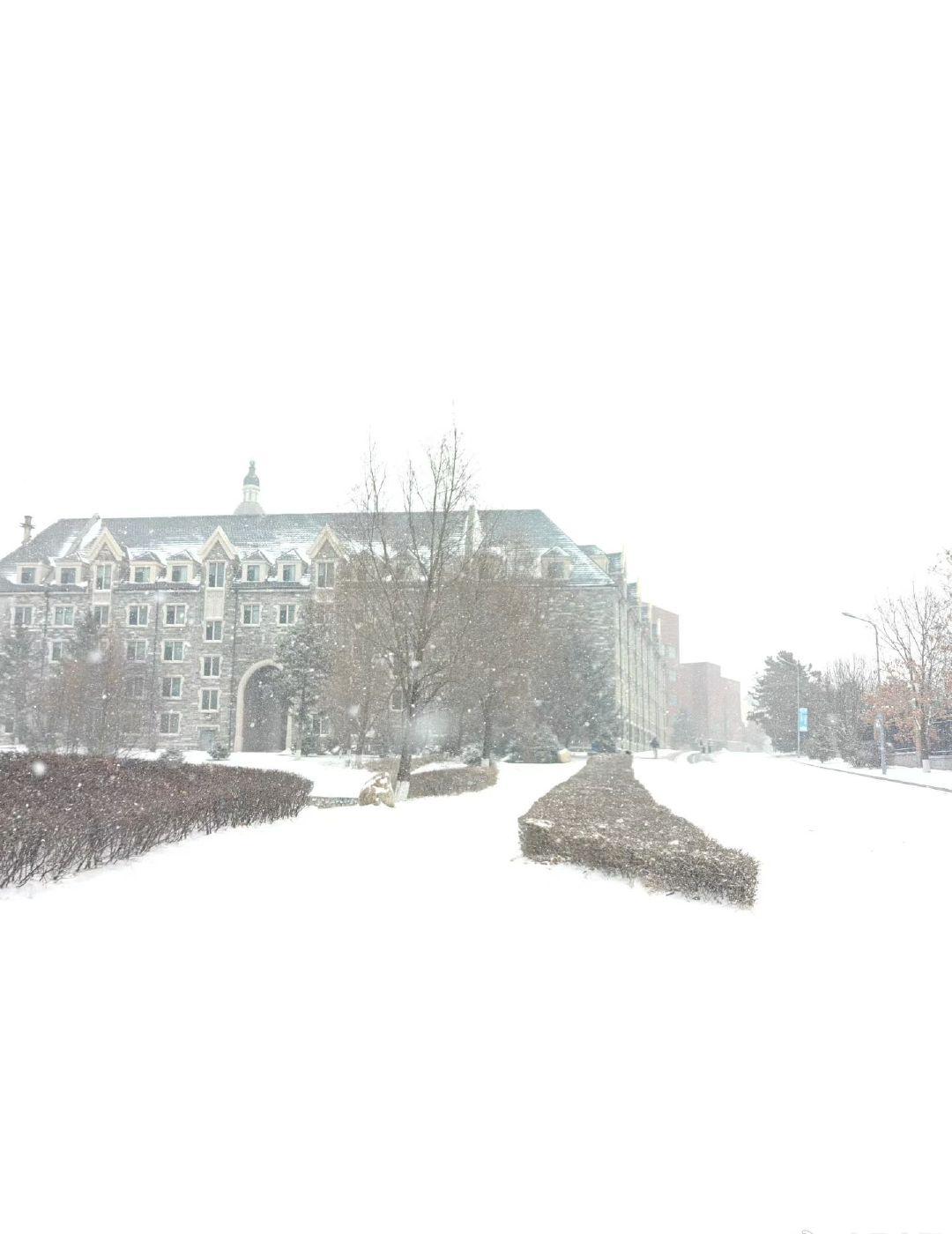 局部大雪+局部晴天降雪区域：溧水观测到“鹅毛大雪”，紫金山、六合竹镇等地出现明