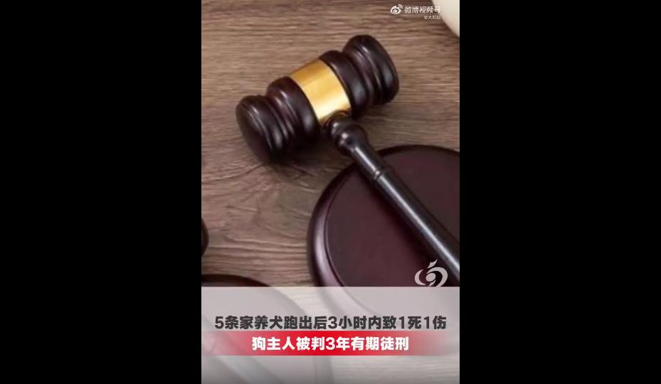 最近黑龙江尚志一起养狗致死人的案子，真的看得人心里堵得慌。很多网友看完判决结果