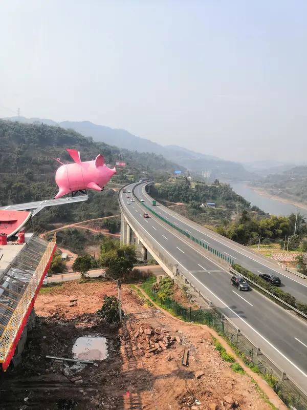 ，如何看待重庆合川“按年猪”成爆点猪福气满满，在重庆合川，“按年猪”这一传统习俗