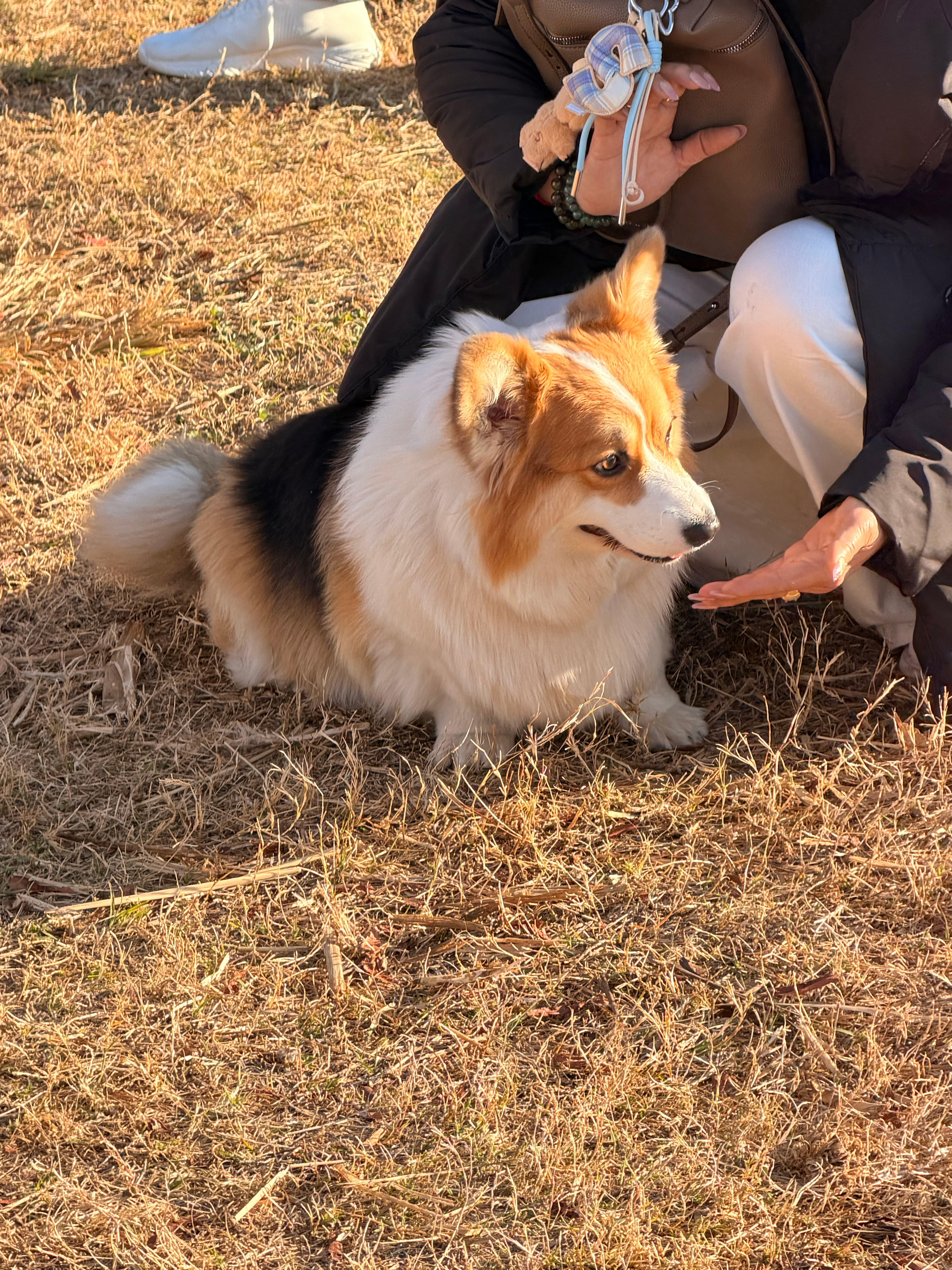 今天我是摄影📷