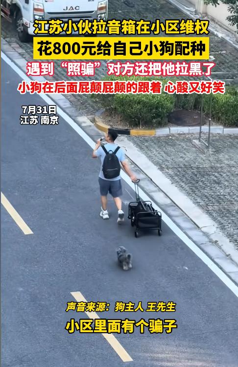 让人哭笑不得！江苏一名小伙给同小区邻居转了800元，约好让双方的狗狗配种。没想到