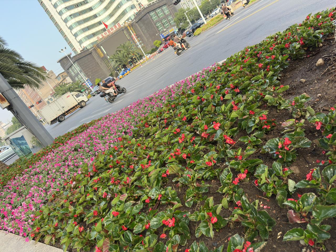一天到晚围着病中二老转的退休日常。早晨6:00就起床了，煮了粥，清炒了一盘苦