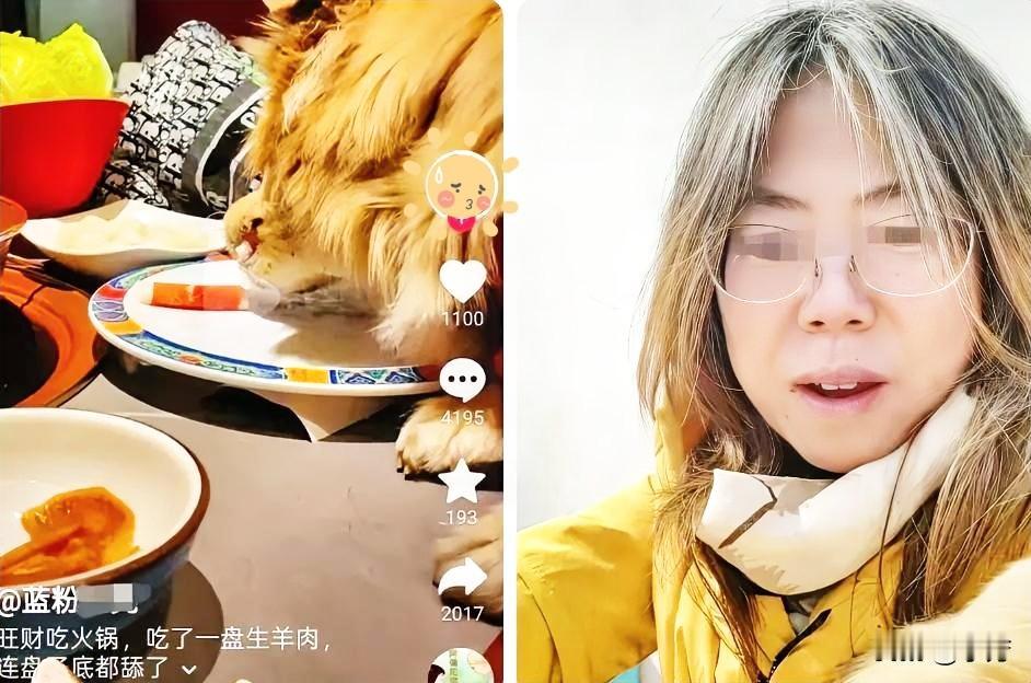 女子带狗上桌吃涮肉后续：女子删视频“店铺决定索赔”评论区炸了几百万的赔偿单砸