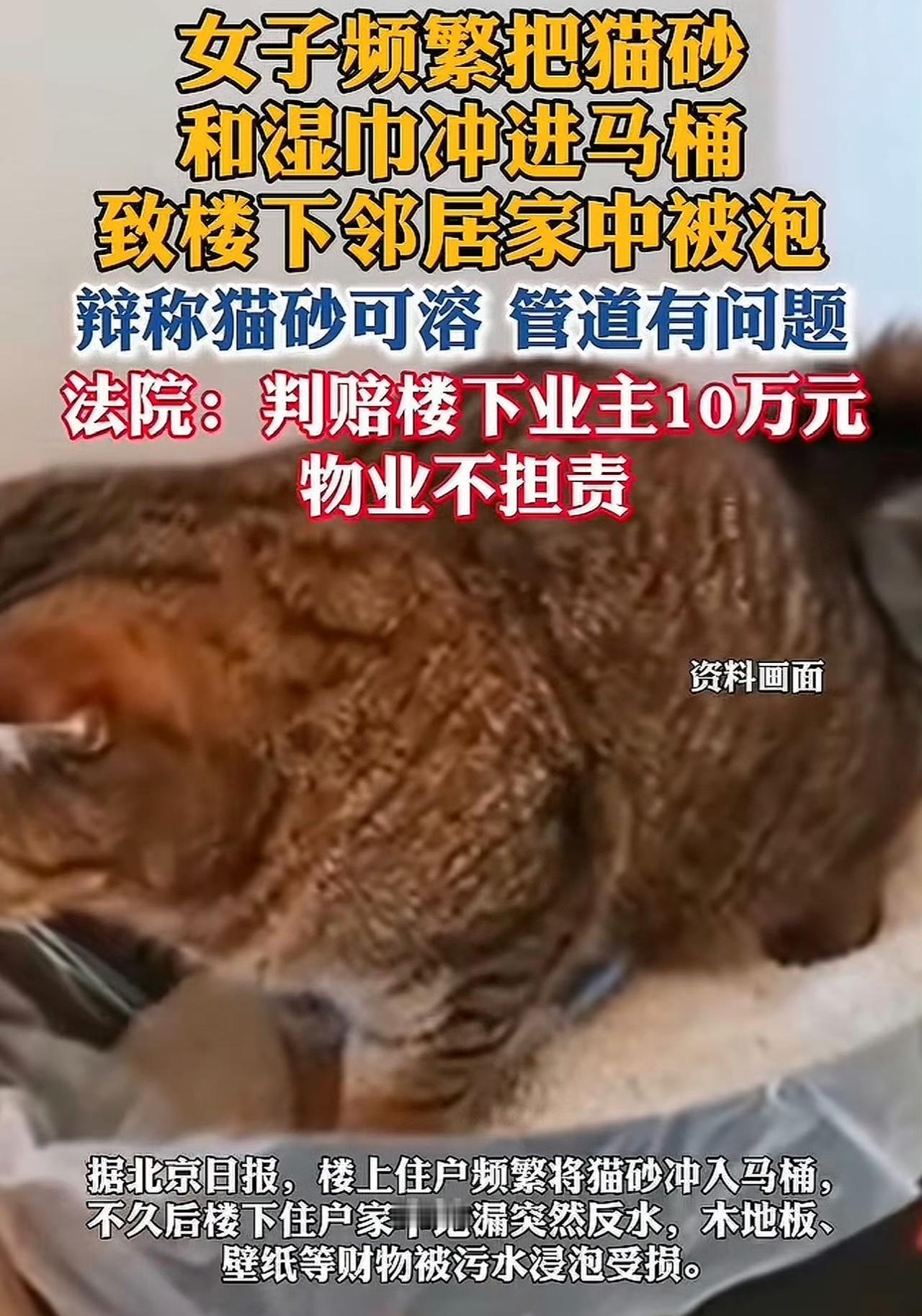 张女士天天把商家吹得天花乱坠的“可溶解猫砂”，混着用过的湿巾往马桶里倒，打心眼儿