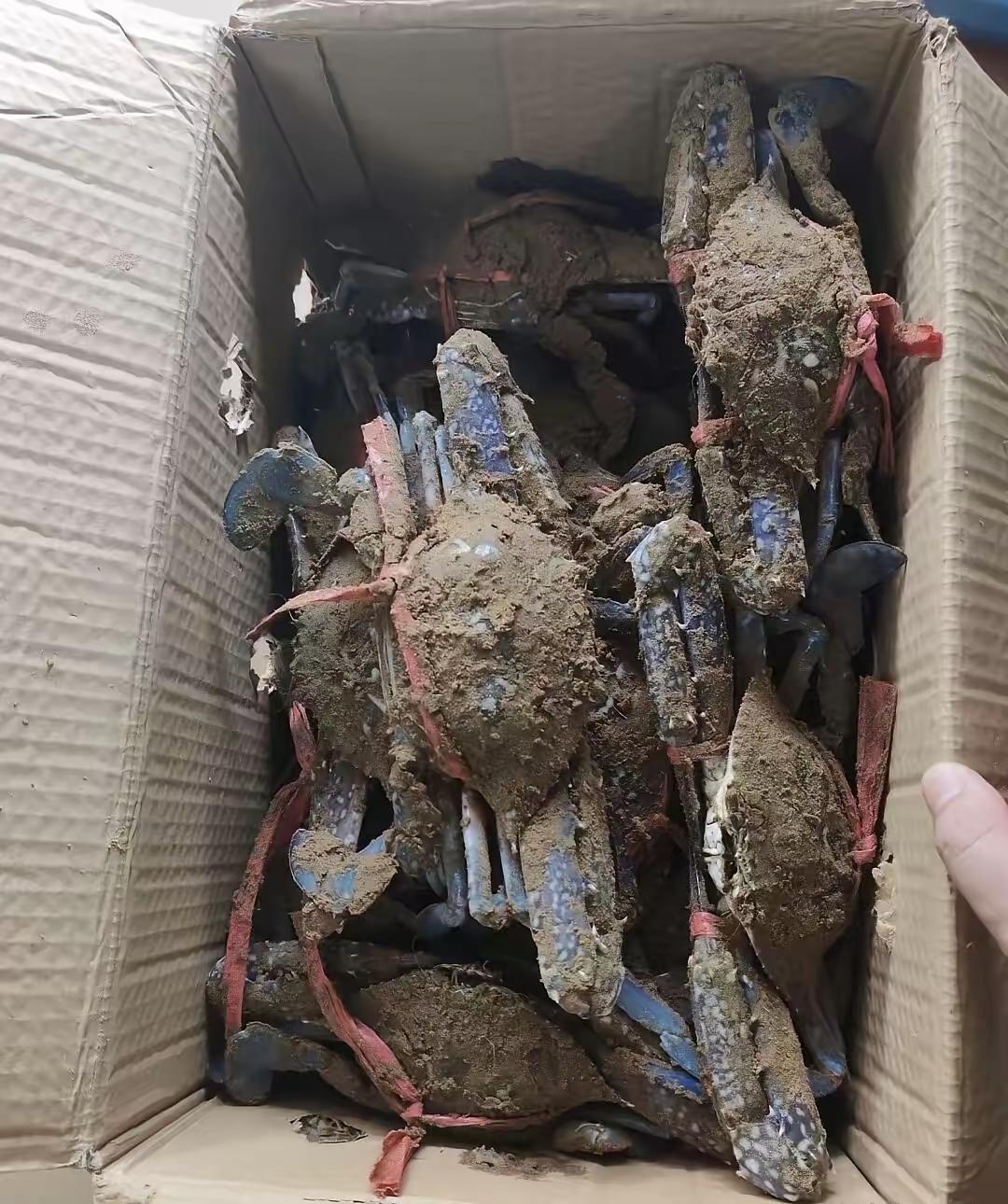 邻居送的，这能吃吗，这是啥啊