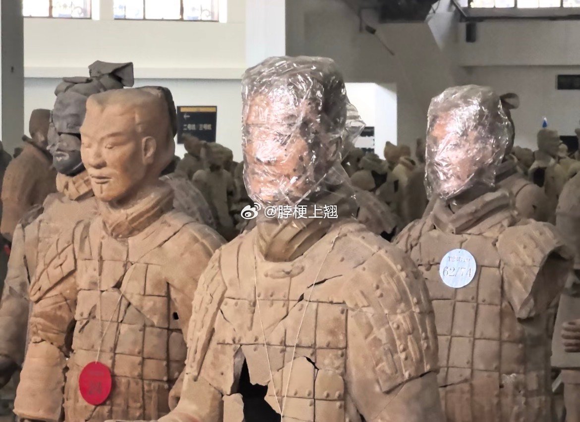 10倍焦距拍到了还有颜色的兵马俑