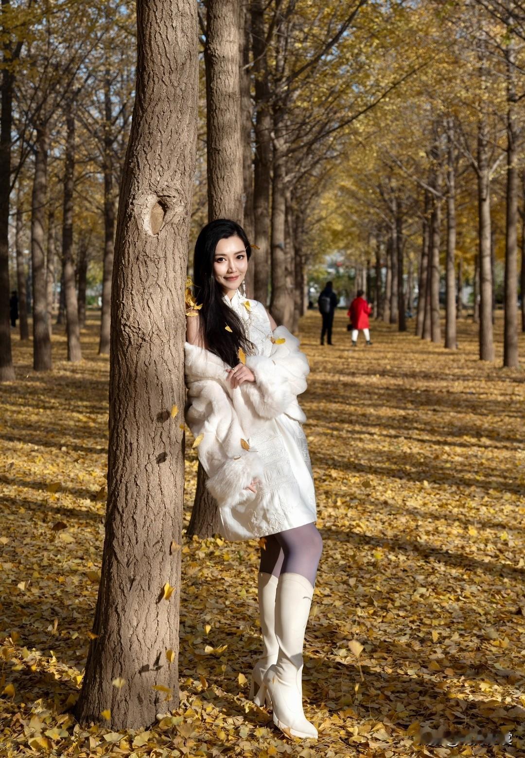 我不怕落叶的缤纷扰乱了你，我就怕你消失在落叶的深处。秋日落叶季分享你拍的最美的