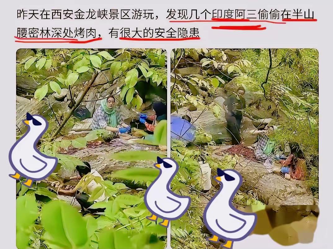 胆大包天！几名印度籍游客躲进西安金龙峡半山腰的密林深处，偷偷生起明火烤肉，专挑