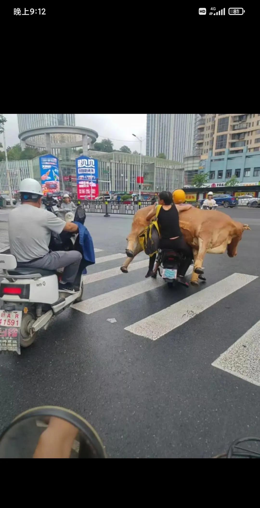 就问你这个操作牛不牛。