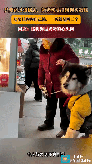 一位老奶奶养了一只阿拉斯加，每次带狗狗逛街路过蛋糕店都会给狗狗买蛋糕，一买就3块