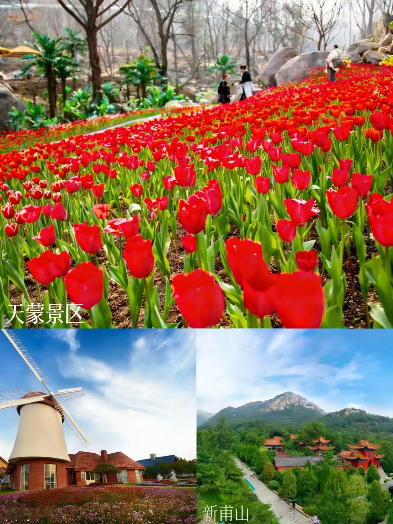 三年坚守，山东文旅用真心诠释“好客”本色提及各地文旅营销，不少人都见过层出不穷的