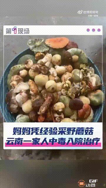 云南曲靖有个女的，她妈上山捡了些菌子回来炒菜。吃之前她问妈有没有问题，妈说以前采