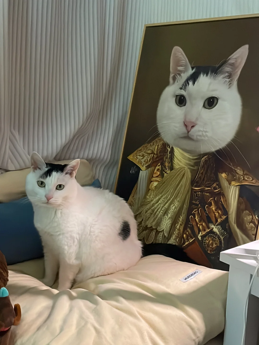 100%复原本人