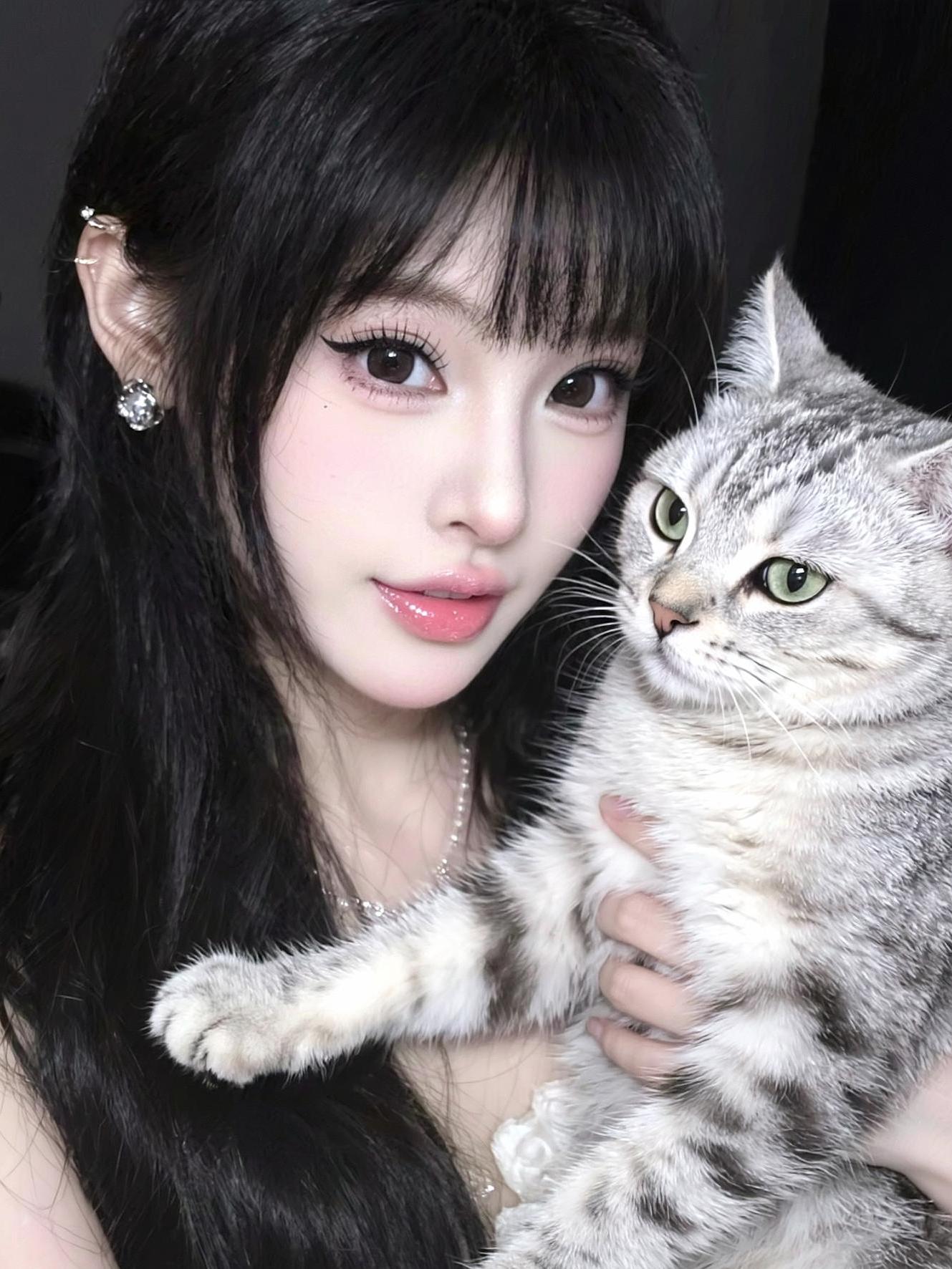 小猫咪有什么坏心思