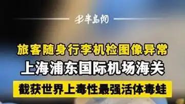 毒霸天下! 上海浦东机场截获世上最强活体毒物之一, 想祸害中国?