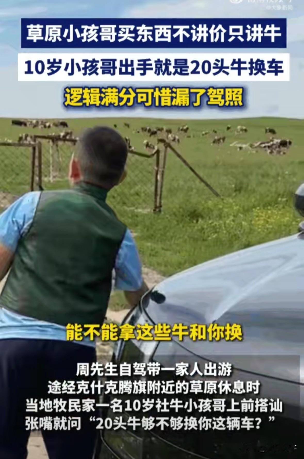 贫穷限制了想象！内蒙古赤峰，一个10岁的牧区“小孩哥”在草原上拦下一家游客，当着
