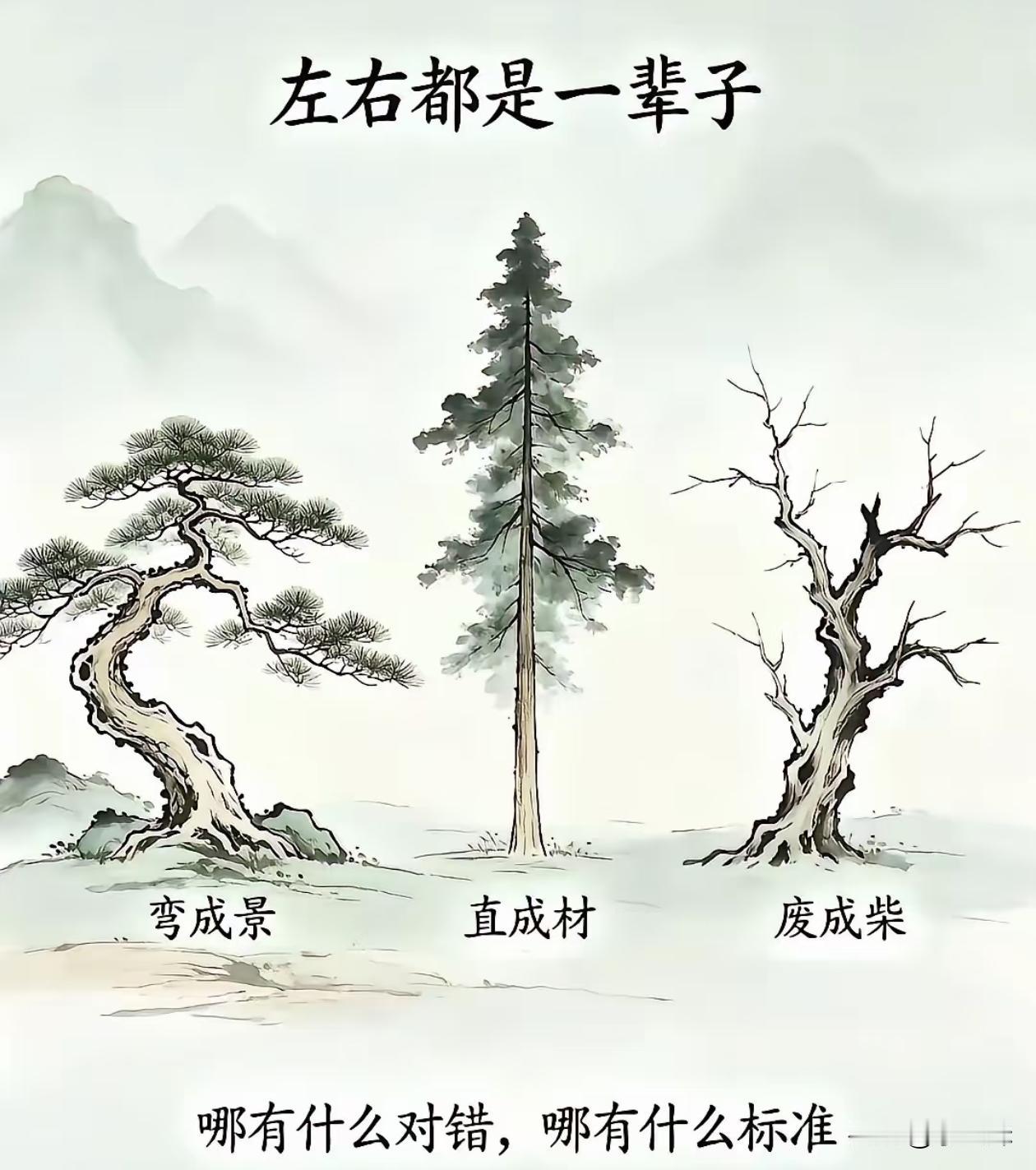 其实成功跟失败的标准也没有这么绝对