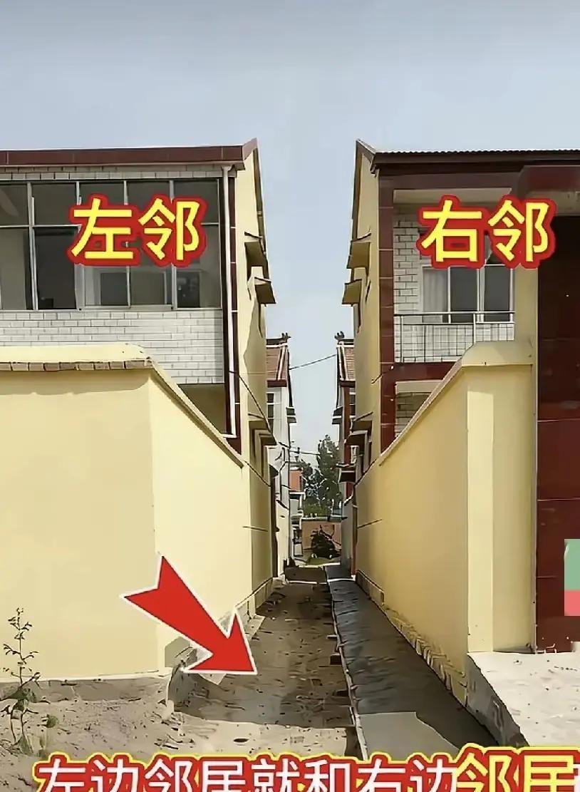 右邻在墙根新砌滴水坡，雨水直接冲我墙根。我蹲下去摸，砖缝已经潮出一层盐霜。他