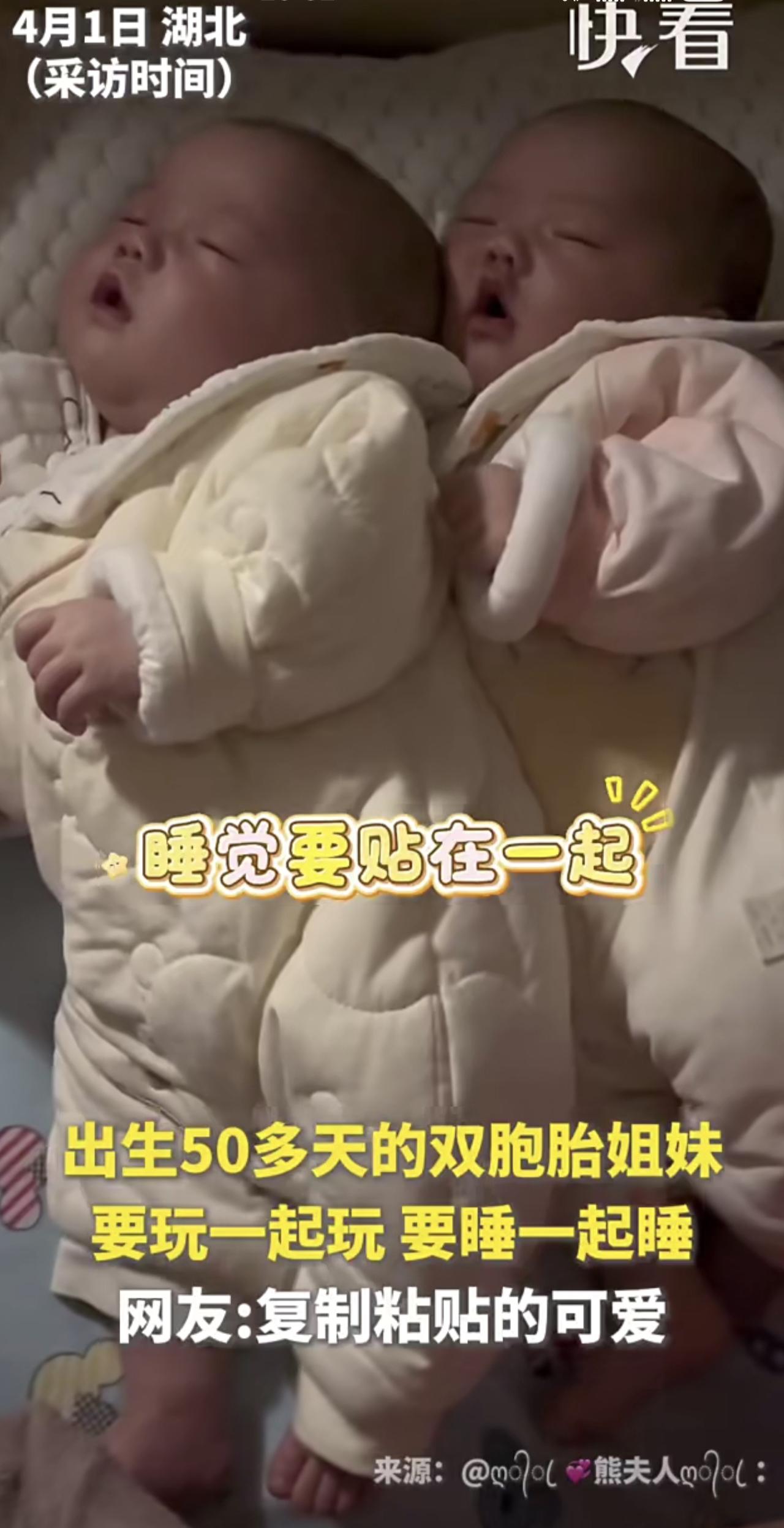 出生50多天的双胞胎姐妹，要玩一起玩，要睡一起睡。网友:复制粘贴的可爱~