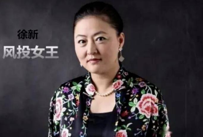 创投女王徐新徐新是怎么工资几百块的上班族成为财富百亿的风投女王的？最关键的是早