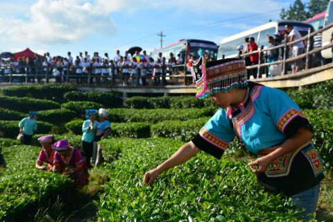 目的地 贵州省 黔南布依族苗族州 掌布风景区