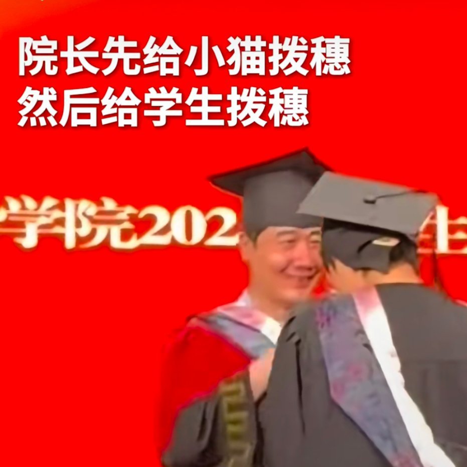 毕业典礼上女生抱猫咪上台拨穗好可爱啊，小猫咪谁不喜欢呢，我觉得院长也挺喜欢，猫猫